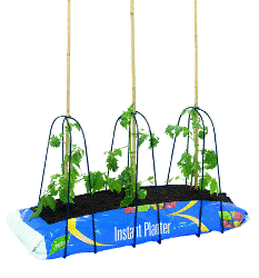 Plant up a Growing Bag
