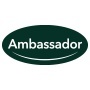 Ambassador