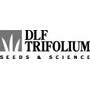 DLF Trifolium
