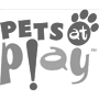 Pets at Play