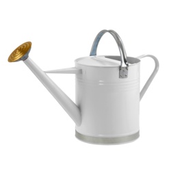 Ambassador Metal Watering Can