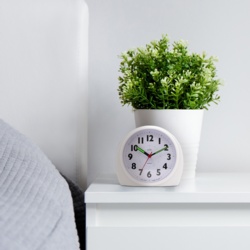 Acctim Jefferson Jumbo Alarm Clock