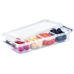 Hobbylife 4 Divider Flat Grand Organiser Box