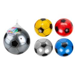 Pms PVC Soccer Ball In Net Bag