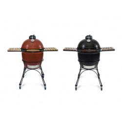 Kamado joe Ceramic grill and smoker