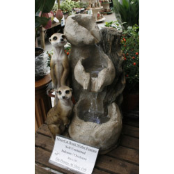 Meercat Rock Water Feature