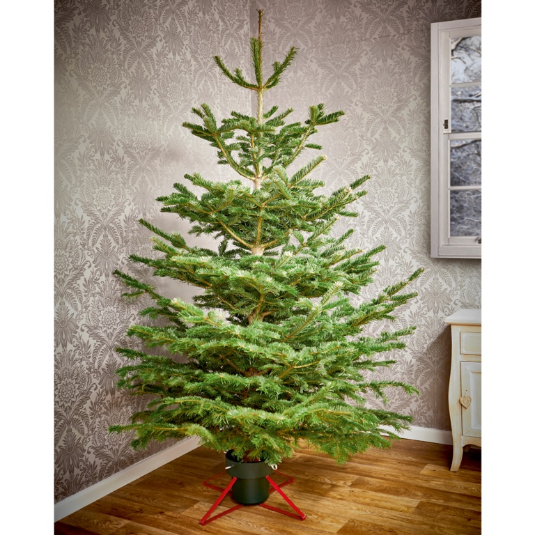 product-image_undefined