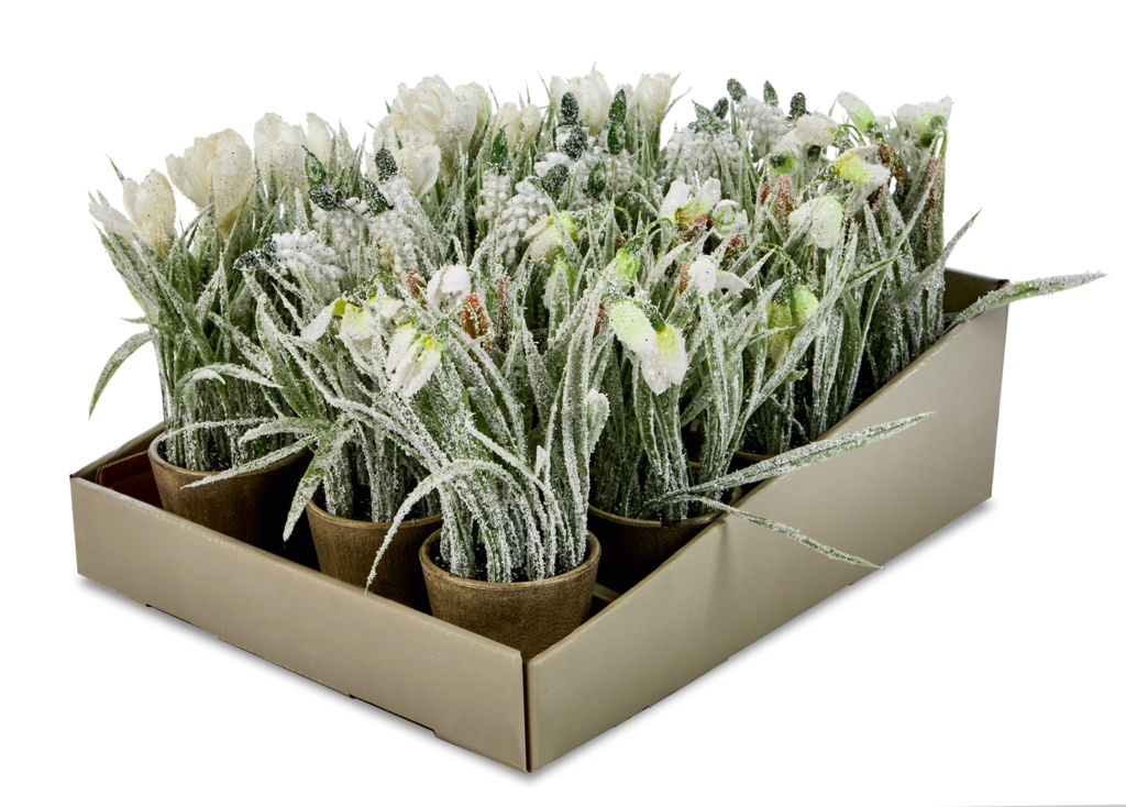 Premier Potted Flowers 25cm