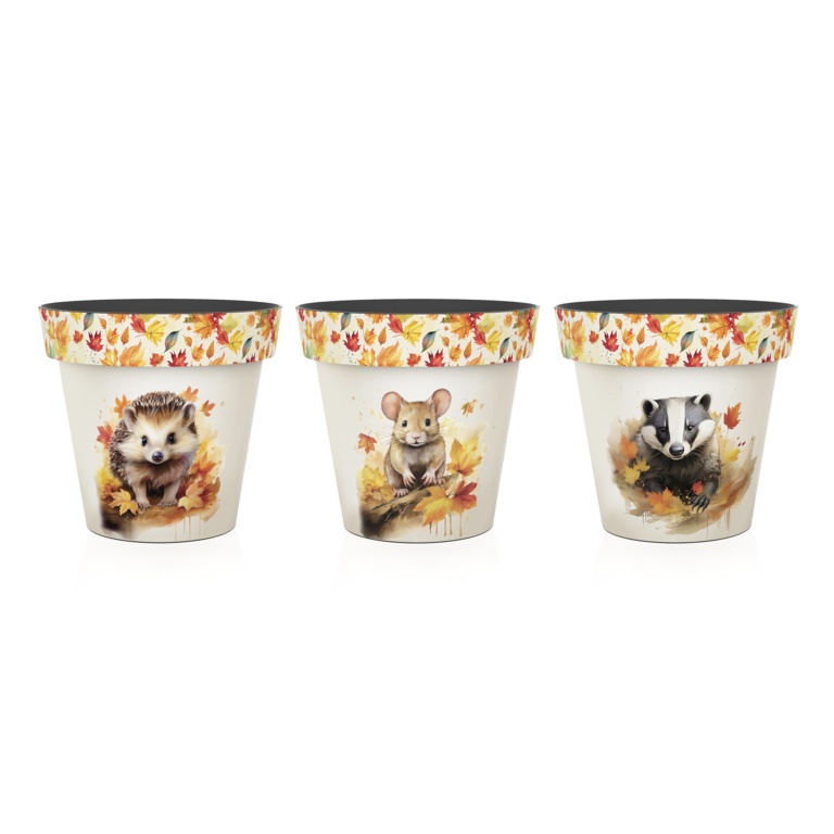 Premier Finlay & Friends Printed Pots 22cm