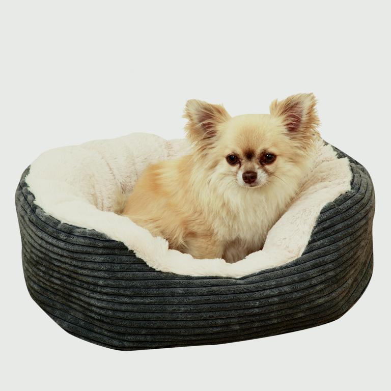 product-image_undefined