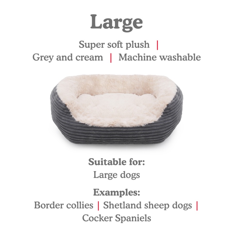 product-image_undefined