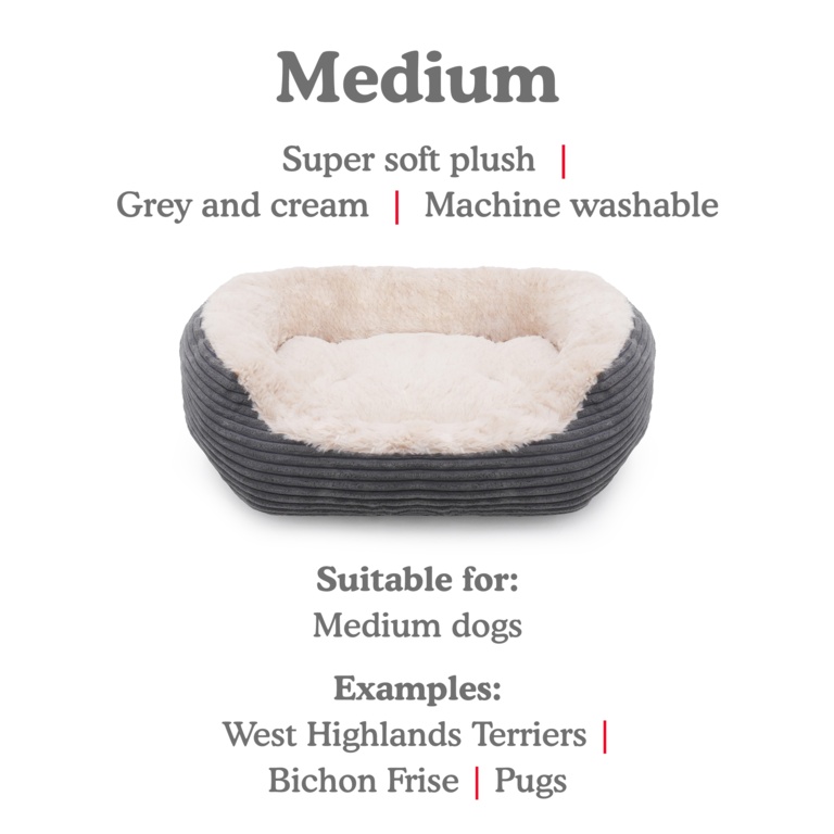 product-image_undefined