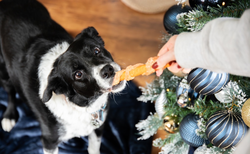 product-image_undefined